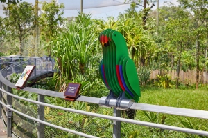 Bird Paradise @ Mandai Wildlife Reserve, Singapore