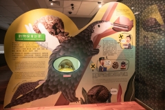 National Palace Museum Zoo Exhibition @ Taiwan